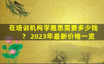 在培训机构学雅思需要多少钱？ 2023年最新价格一览